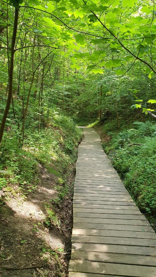 Pokoje Goscinne Maj - Rozewie Jastrzębia Góra المظهر الخارجي الصورة